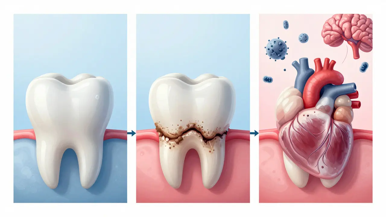 Časová řada zubu od zdravého stavu přes kámen a kaz až k ztrátě zubu a šíření bakterií do krve.