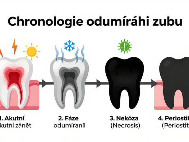 Jak dlouho trvá odumření zubu? Příznaky, rizika a co dělat při bolesti předních zubů